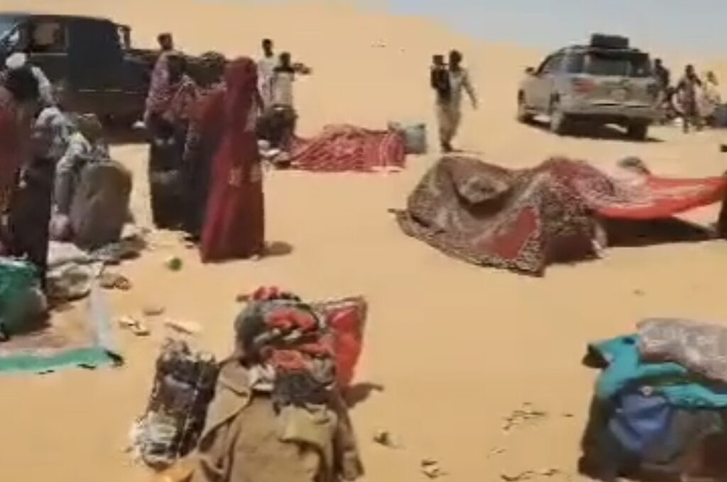 Screenshot_20250801-103707_Gallery