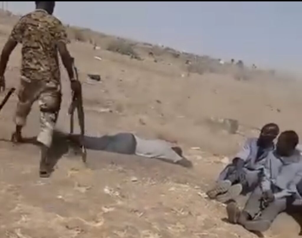 Screenshot_20250828-140207_Gallery