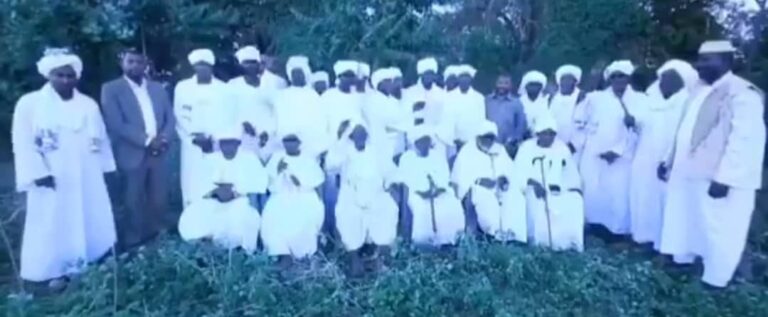 قبيلة المسيرية