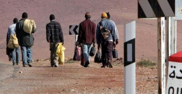 لاجئي المغرب