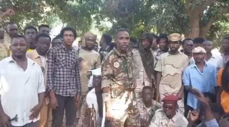 WhatsApp Image 2026-02-12 at 16.34.06 (1)