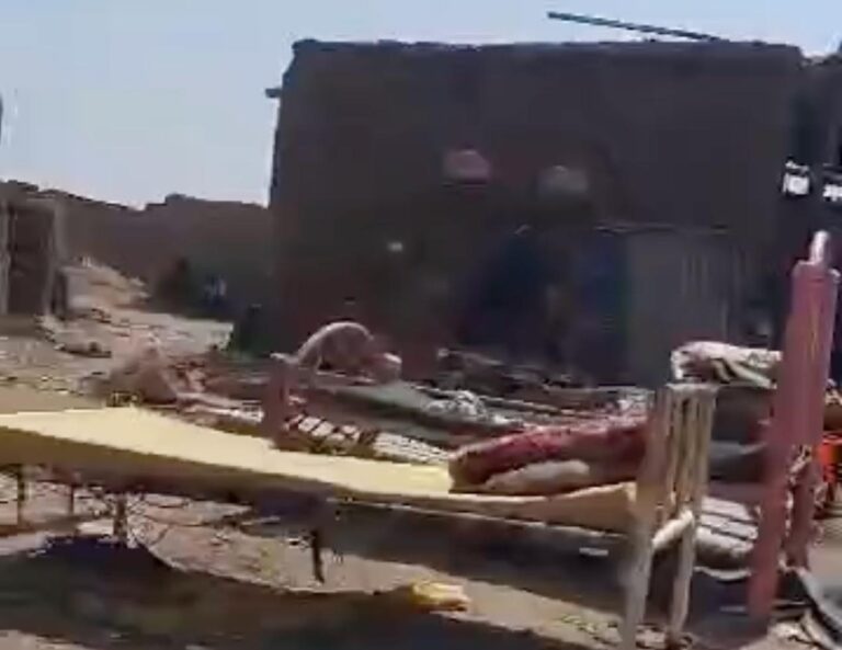 WhatsApp Image 2026-02-13 at 16.38.54