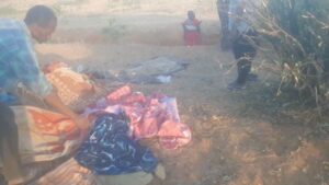 WhatsApp Image 2026-02-16 at 18.42.10