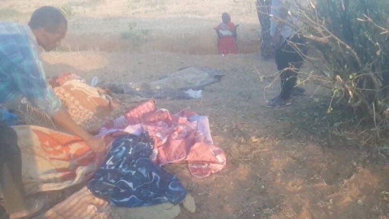 WhatsApp Image 2026-02-16 at 18.42.10