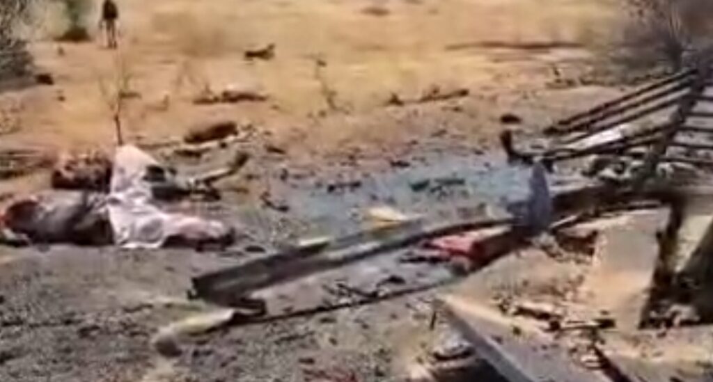 الدبيبات