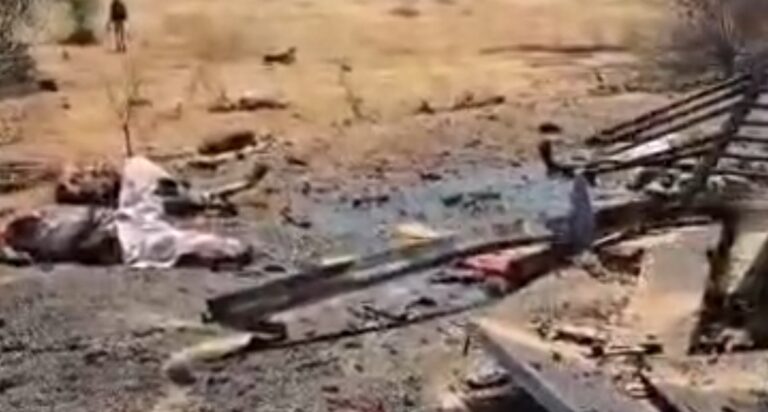 الدبيبات
