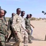 درع السودان يثير فوضى واشتباكات في ود مدني.. إصابات ونهب يهزّان حي ناصر وسط توتر أمني متصاعد