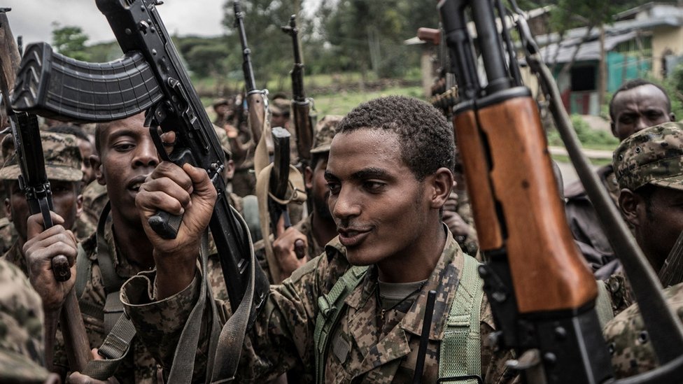 tigrai