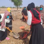 حملة نظافة وإصحاح بيئي في كابار للوقاية من الأمراض مع اقتراب فصل الخريف
