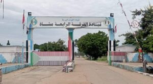 dmazin
